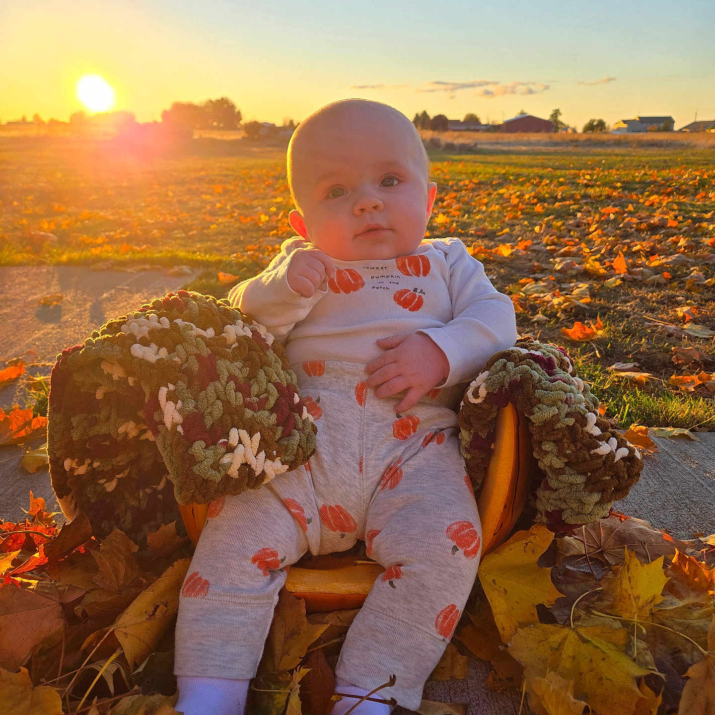 Lukas is registered to the contest to win money with this photo: baby, clothing, face, flower, grass, head, leaf, nature, outdoors, pants, person, photography, plant, portrait, sitting, sky, soil, sun, sunlight, tree