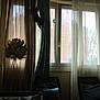 Xena a rejoint le concours — aidez-le/la à gagner de superbes lots ! cat, curtain, window, chair, cushion, indoor, furniture, shadow, silhouette, cozy, pillows, tripod_lamp, sheer_curtain, light, dark, climbing, pet, home, daylight, quiet
