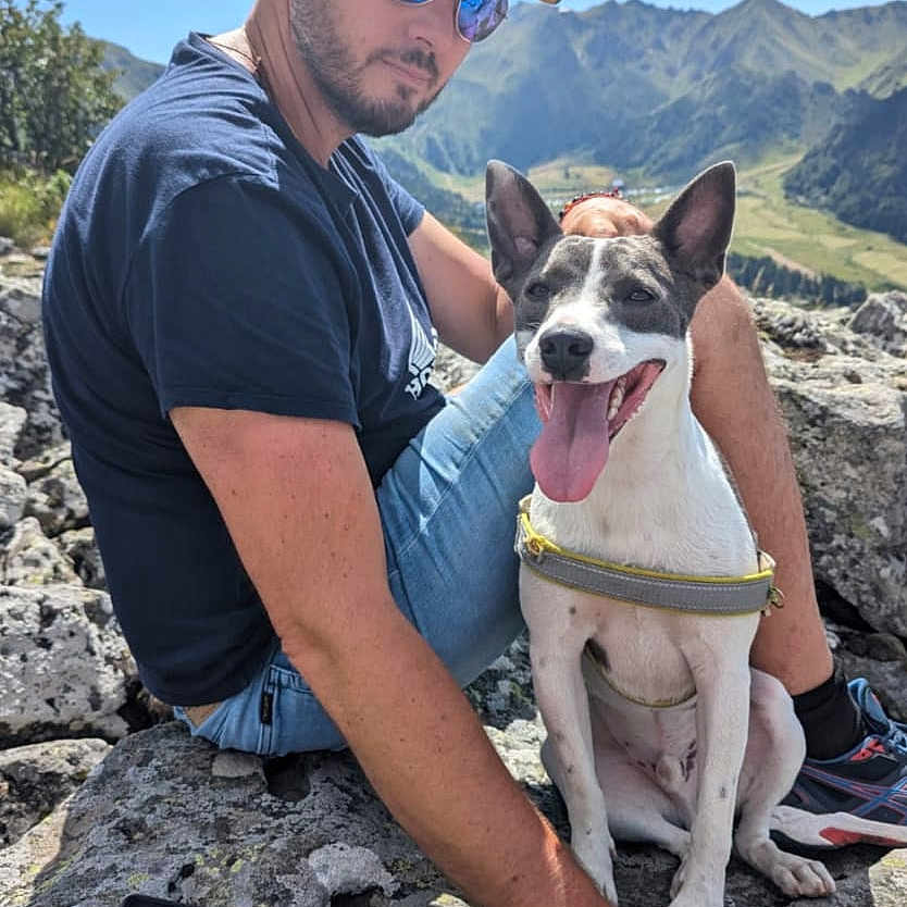 Gab a rejoint le concours — aidez-le/la à gagner de superbes lots ! blue_sky, cap, casual_clothing, companionship, dog, happy, hiking, leash, man, mountain, nature, outdoor, pet, reflection, rock, scenery, sitting, sunglasses, sunny, tongue_out