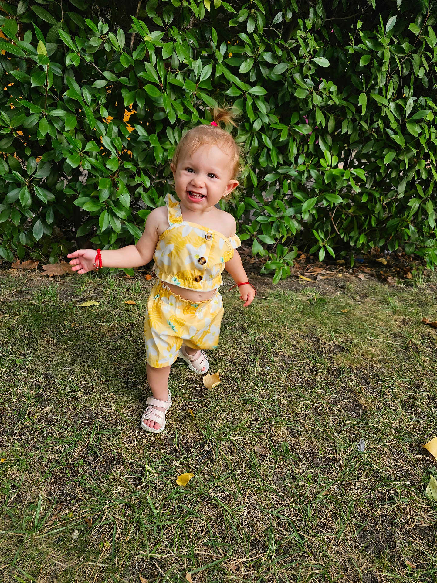 Elsa Stefania is registered to the contest to win money with this photo: toddler, child, smiling, outdoor, grass, greenery, leaves, yellow_clothing, sandals, happy, nature, sunlight, cute, small_child, person, walking, summer, playful, garden, portrait