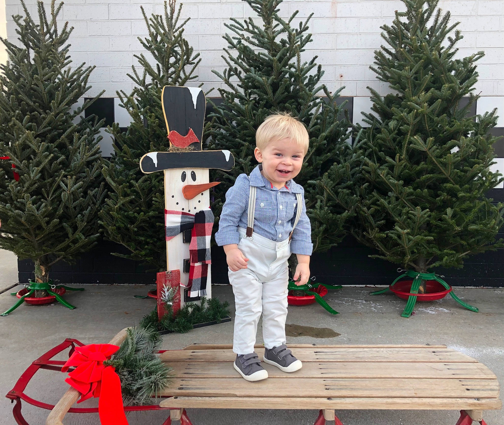 Damien joined the competition — help win amazing prizes! carmine, christmas, christmas_decoration, christmas_eve, christmas_ornament, conifer, event, evergreen, garden, grass, holiday, holiday_ornament, joy, leaf, person, plant, red, toddler, toy, tree