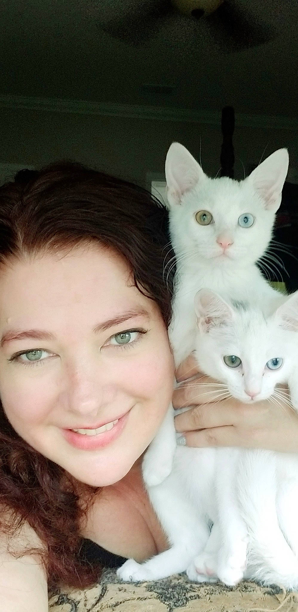 Knox And Zima is registered to the contest to win money with this photo: carnivore, cat, claw, domestic_short_haired_cat, eyelash, felidae, flash_photography, fur, gesture, happy, iris, makeover, nail, paw, portrait_photography, small_to_medium_sized_cats, smile, tail, whiskers, white