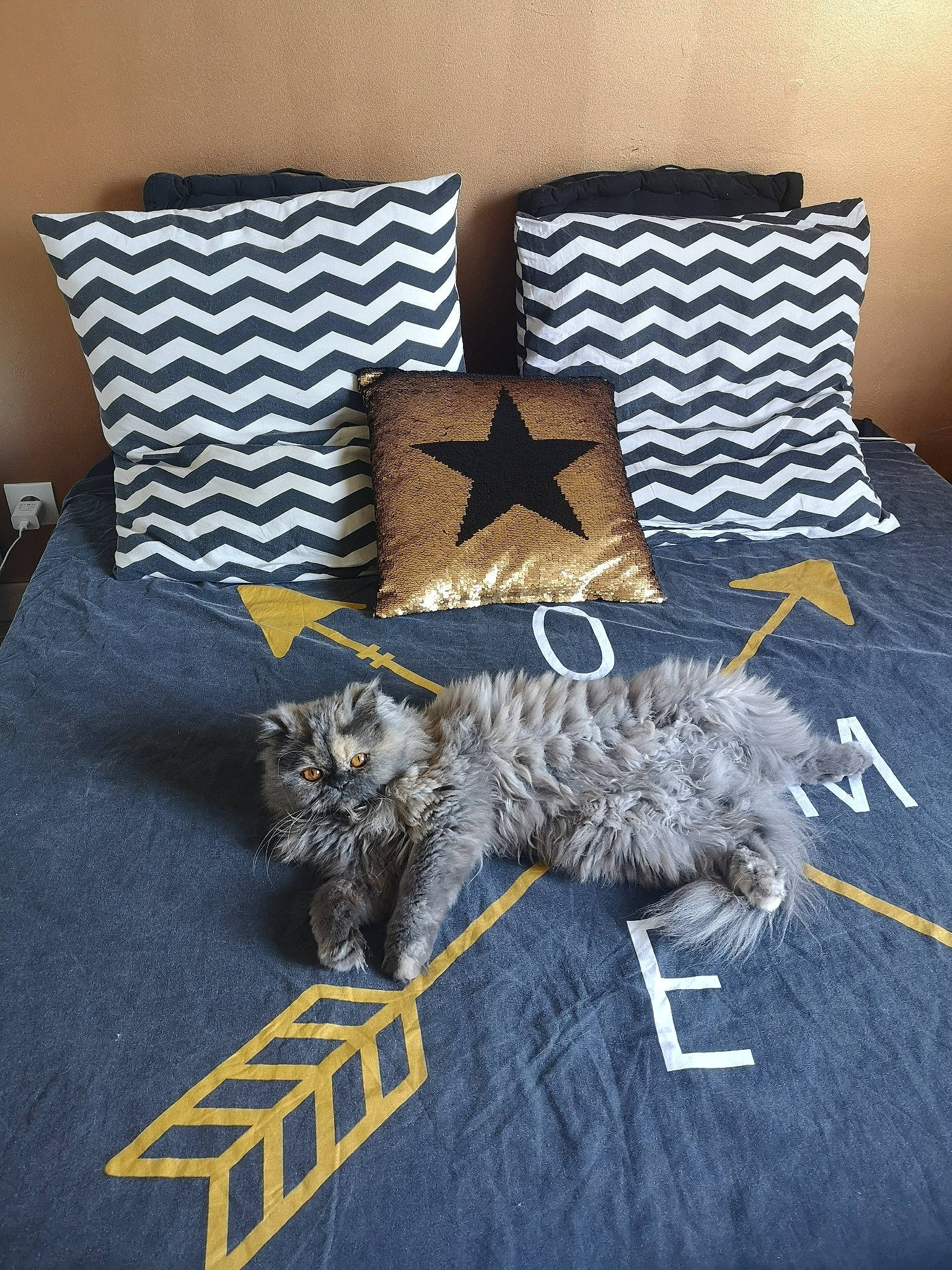 Maya participe au concours pour gagner de l'argent avec cette photo : bed, bed_sheet, bedding, cat, couch, cushion, duvet, felidae, furniture, linens, pillow, room, small_to_medium_sized_cats, textile, throw_pillow