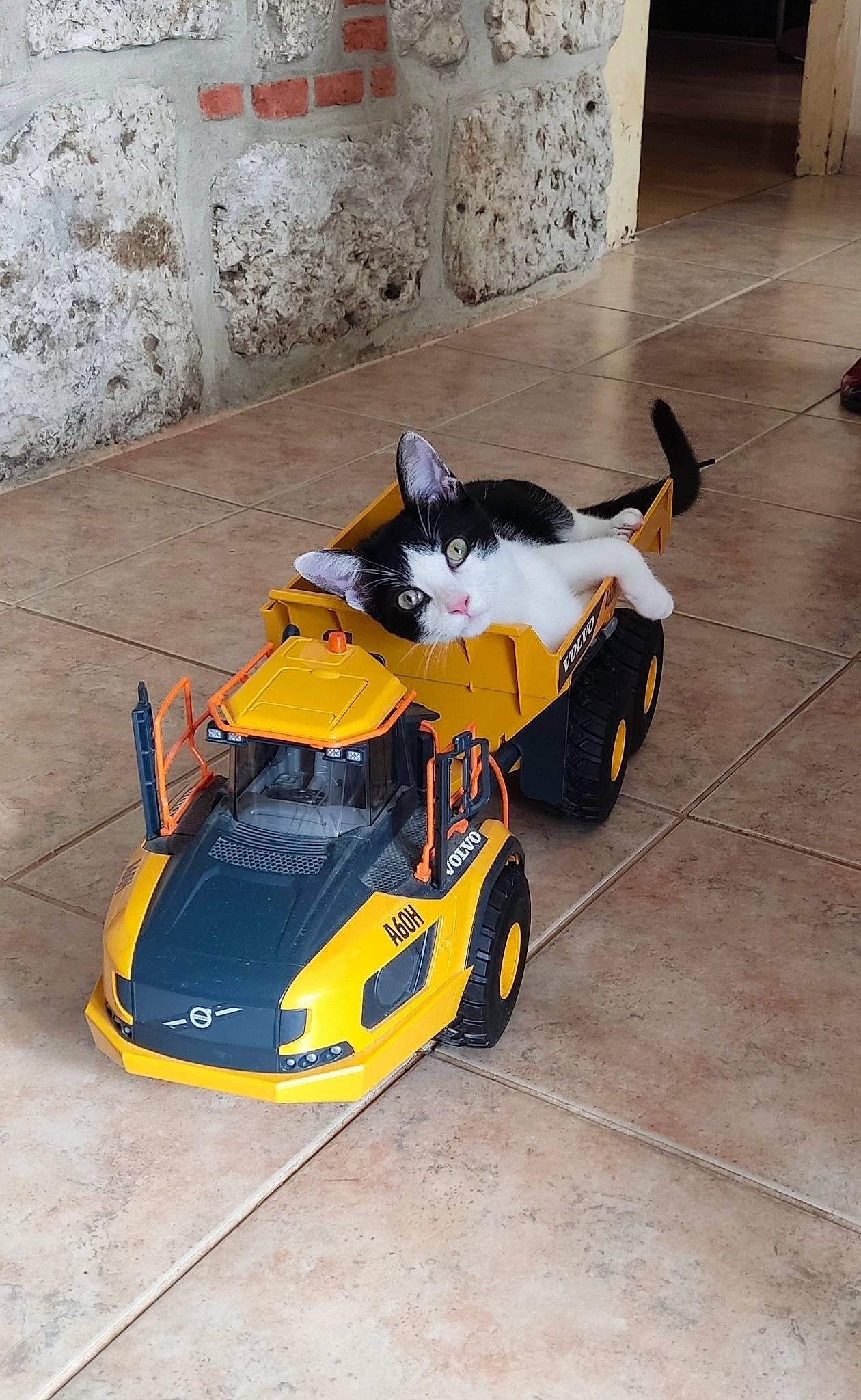 Tagada participe au concours pour gagner de l'argent avec cette photo : alloy_wheel, asphalt, automotive_design, automotive_exterior, automotive_lighting, automotive_tire, automotive_wheel_system, bumper, car, fender, hood, kit_car, motor_vehicle, motorsport, racing, road_surface, tire, vehicle, vehicle_door, wheel