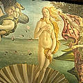 Stellae V.