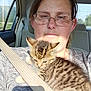 animal, car_interior, cat, face, glasses, hair, indoor, kitten, nature, nose_ring, person, pet, scenery, seat, seatbelt, shirt, striped, sunlight, tabby, window