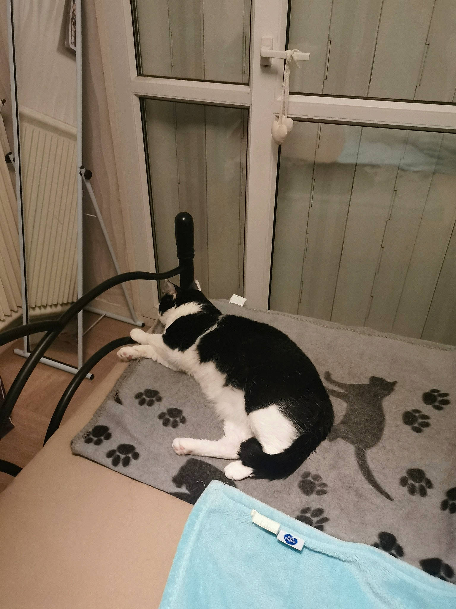 Yoshi a rejoint le concours — aidez-le/la à gagner de superbes lots ! bedding, cable, canidae, carnivore, cat, comfort, domestic_short_haired_cat, electrical_wiring, felidae, floor, flooring, fur, hardwood, linens, room, small_to_medium_sized_cats, tail, whiskers, wire, wood