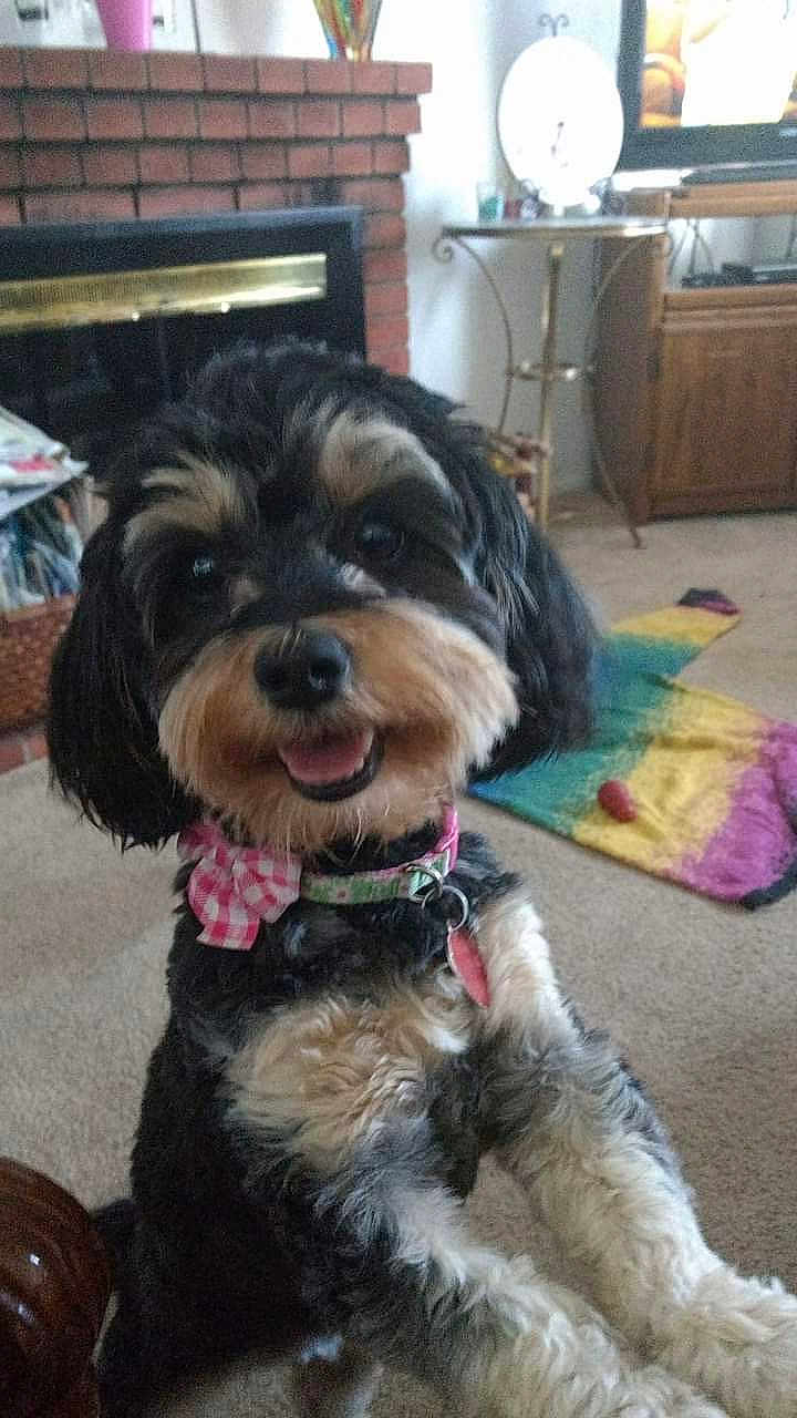 Stella