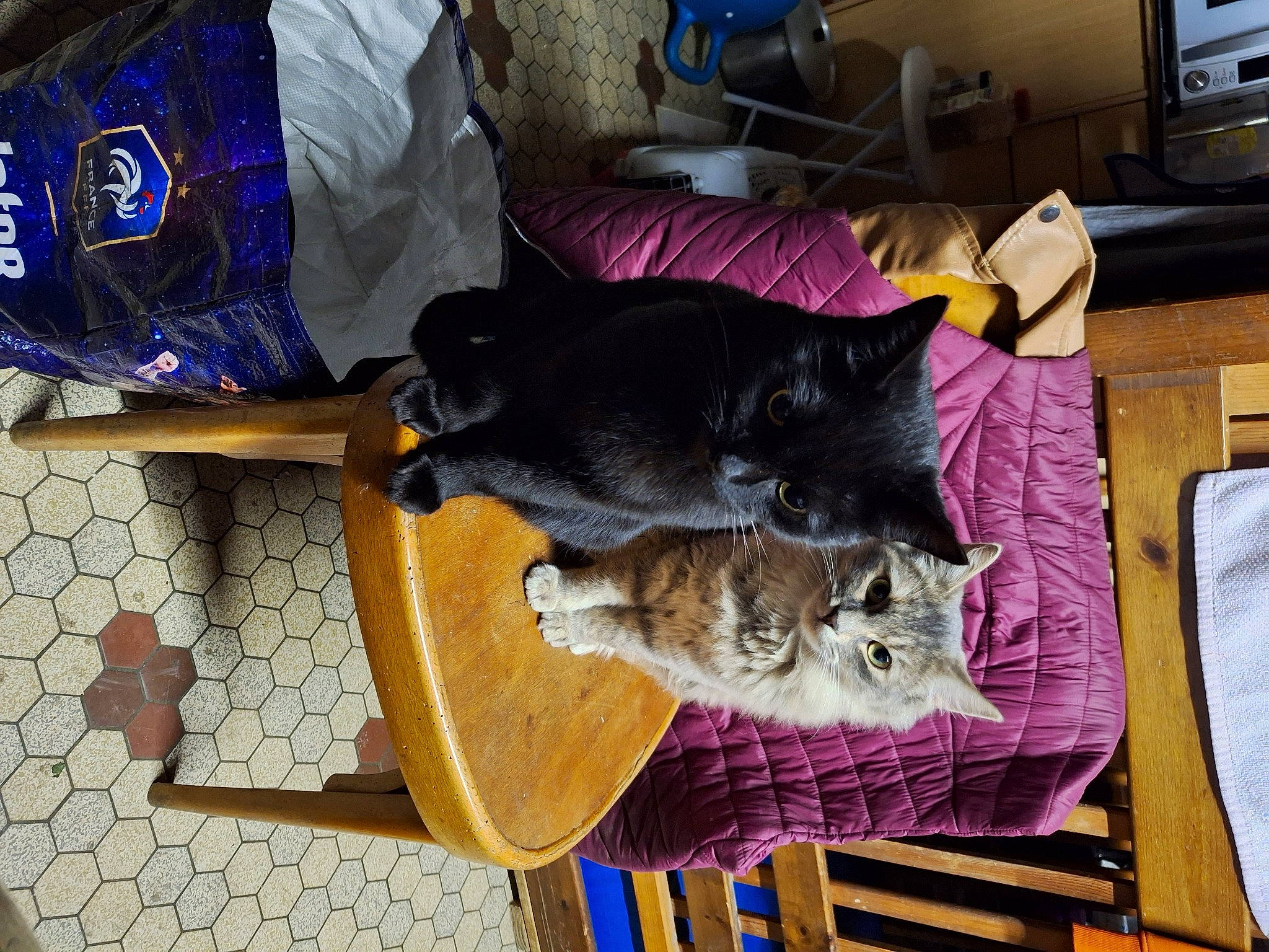 Grisette Et Sa Maman Noirode