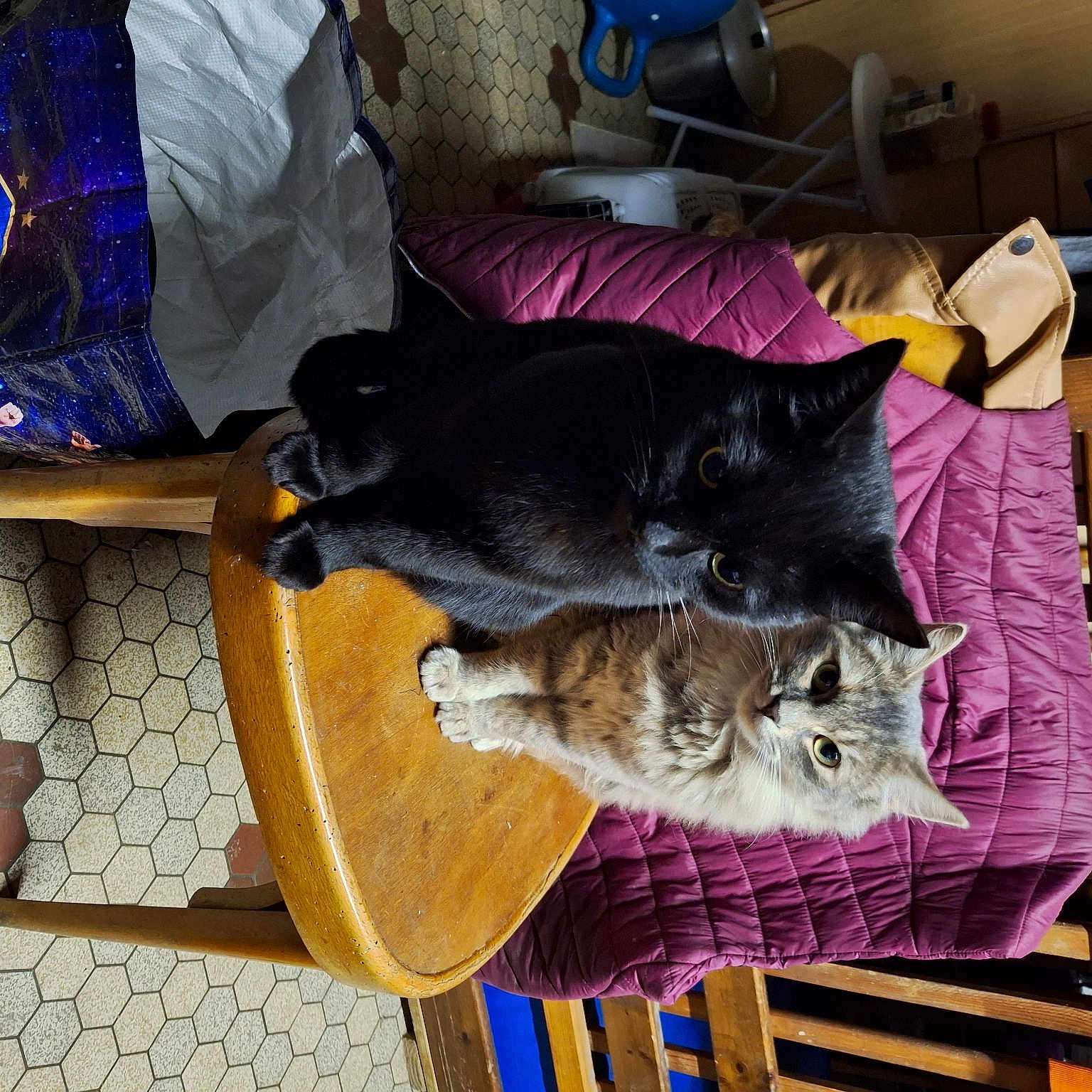 Grisette Et Sa Maman Noirode
