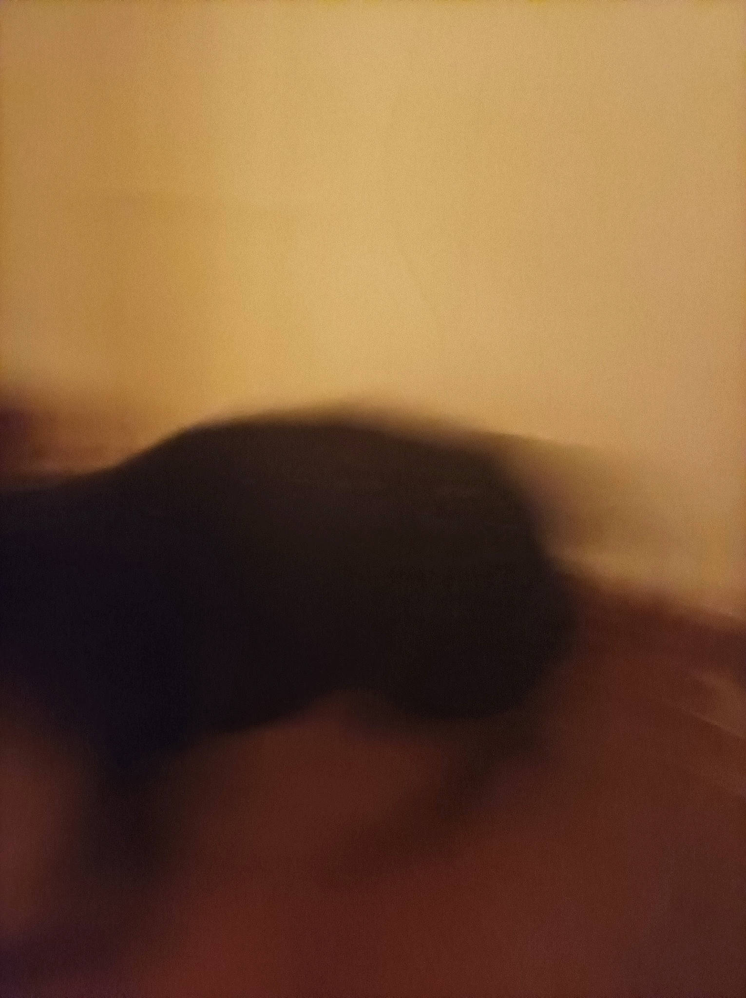 Rockky a rejoint le concours — aidez-le/la à gagner de superbes lots ! cloud, darkness, evening, flesh, flooring, hardwood, horizon, human_body, human_leg, landscape, macro_photography, meteorological_phenomenon, mist, sand, shadow, tail, tints_and_shades, tree, window, wood