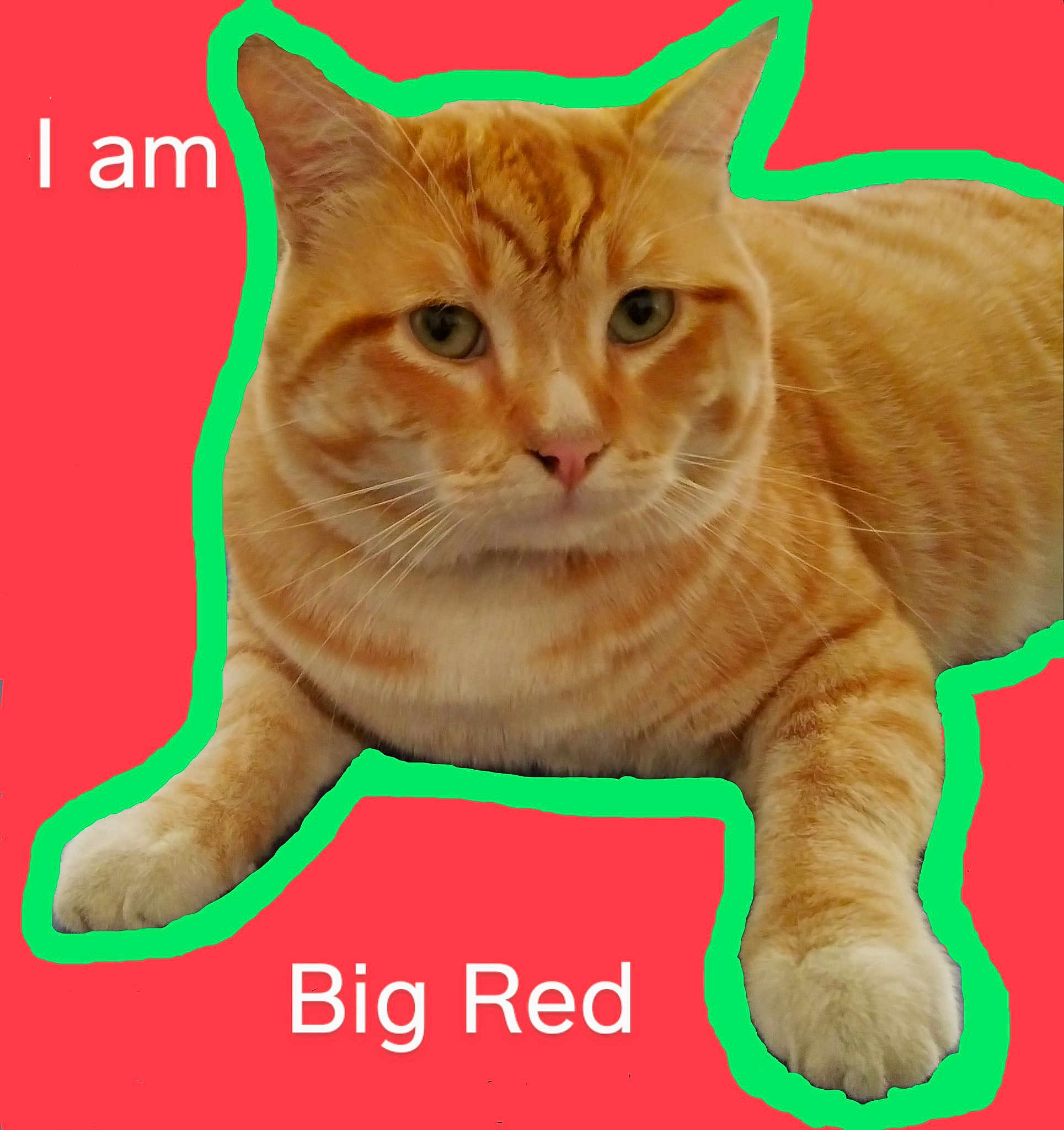 Big Red