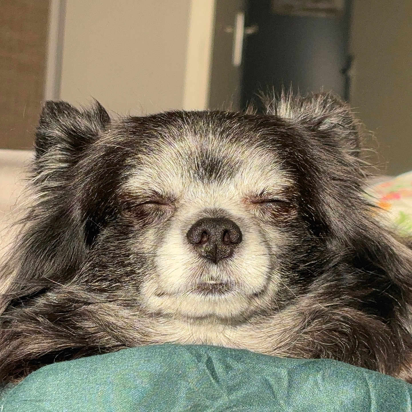 Tito