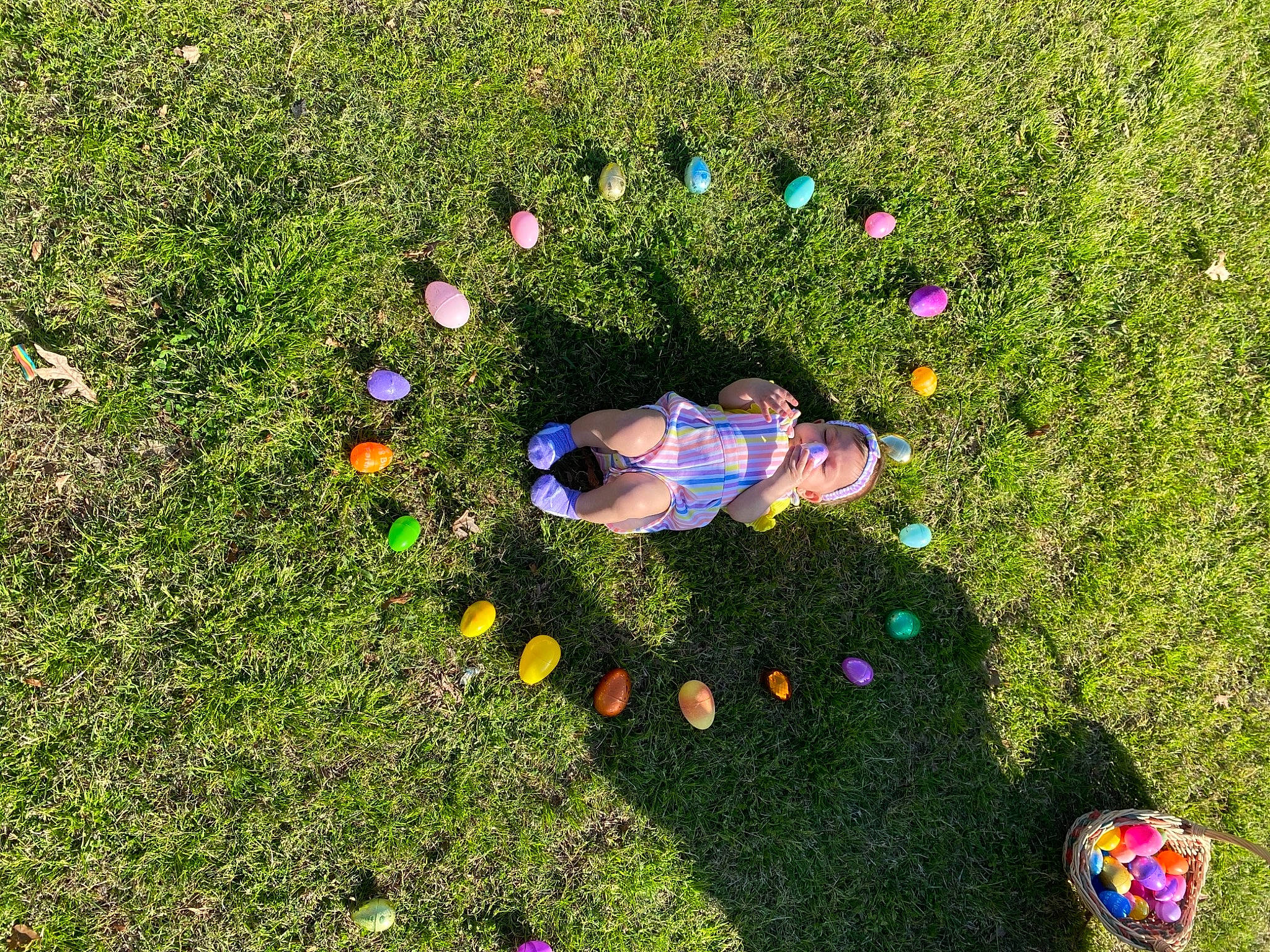 Penny joined the competition — help win amazing prizes! art, biome, electric_blue, fun, games, grass, grass_family, grassland, groundcover, landscape, lawn, leisure, meadow, natural_landscape, nature, people_in_nature, person, plant, recreation, shrub