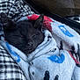 animal, black_cat, blanket, closeup, comfort, cozy, cute, fur, indoor, kitten, peaceful, pet, relaxed, resting, sleeping, snuggled, soft, warm, wrapped, young_cat