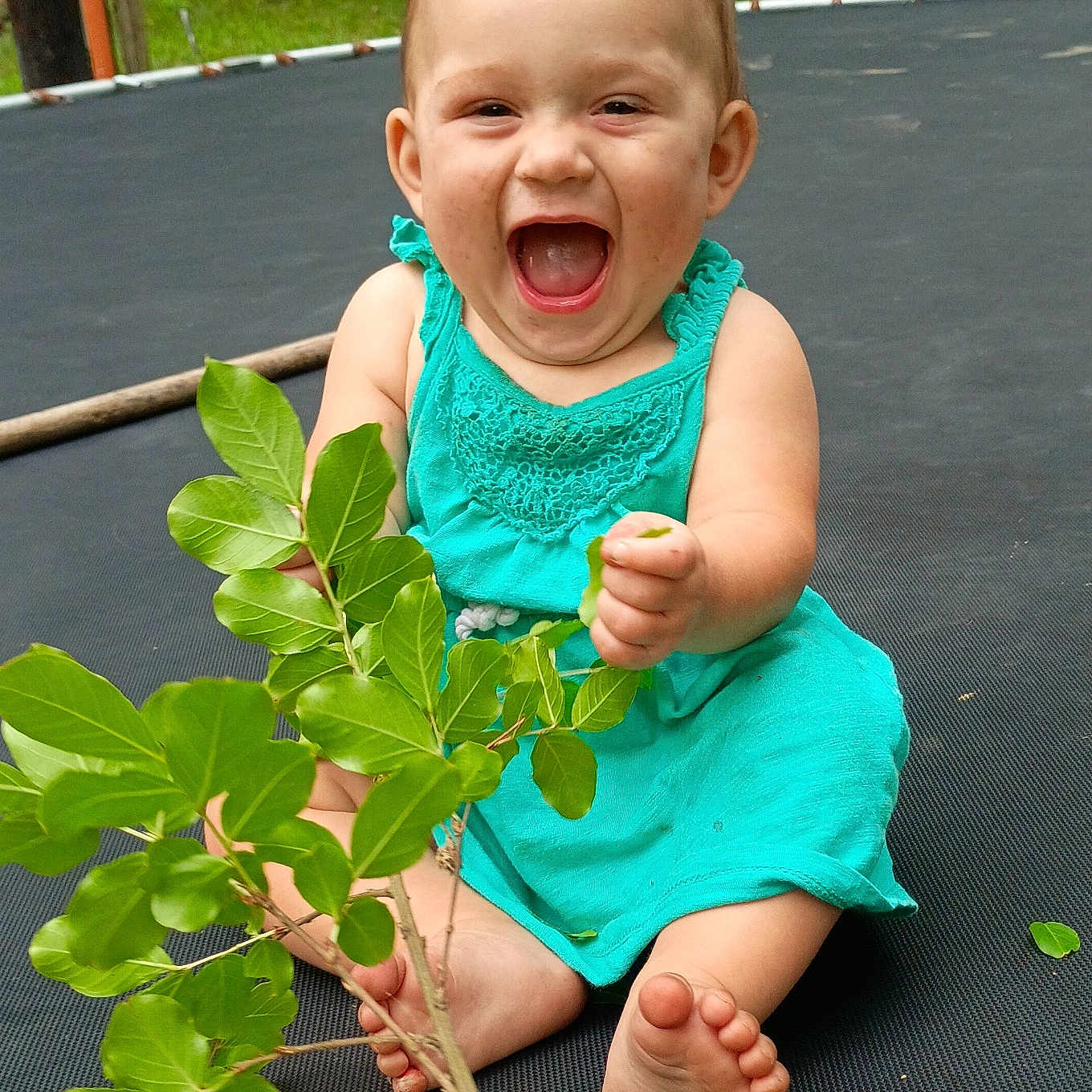 Kyndall joined the competition — help win amazing prizes! toddler, child, smiling, happy, sitting, dress, barefoot, leafy_branch, trampoline, outdoor, greenery, nature, grass, playful, summer, young_child, expression, joy, person, casual