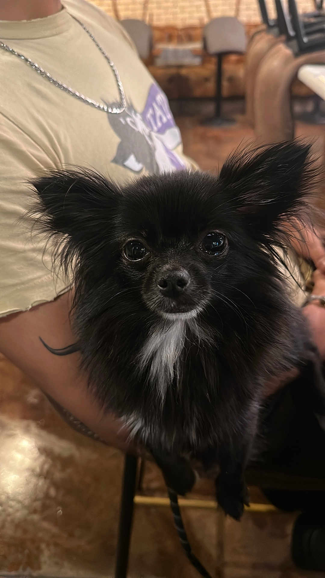 Zuki