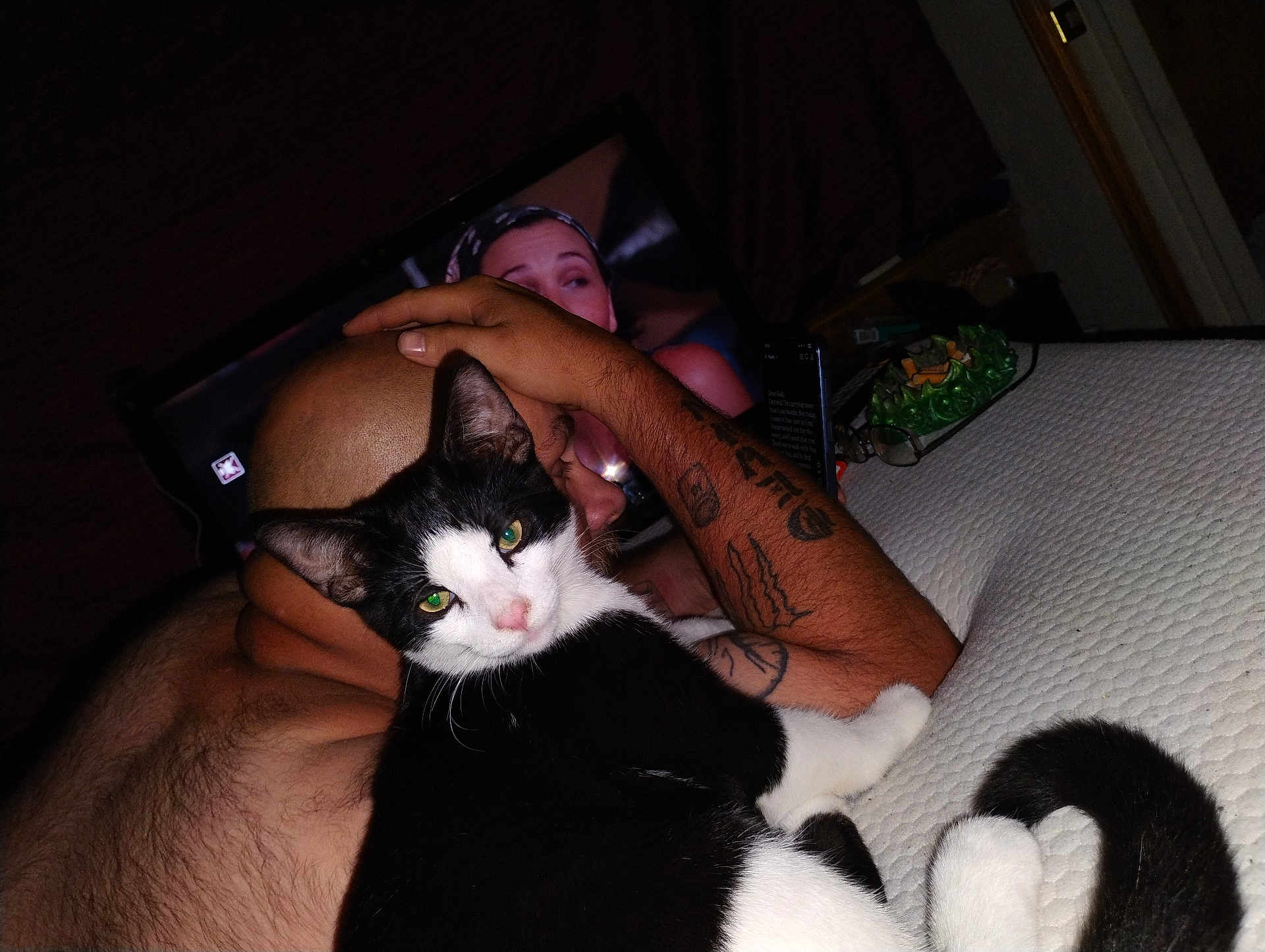 Thor joined the competition — help win amazing prizes! cat, person, tattoo, bald, black_and_white_cat, indoor, television, couch, relaxing, arm, hand, watching_tv, feline, resting, close_up, pet, fur, living_room, night, comfort