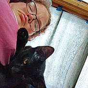 Simba joined the competition — help win amazing prizes! person, cat, black_cat, glasses, indoor, window, curious, relaxed, lying_down, face, paw, closeup, casual, home, natural_light, portrait, resting, pet, animal, cozy