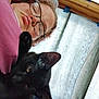 animal, black_cat, casual, cat, closeup, cozy, curious, face, glasses, home, indoor, lying_down, natural_light, paw, person, pet, portrait, relaxed, resting, window