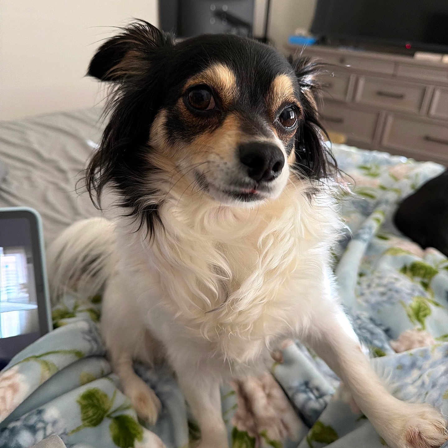 Penny Marshal