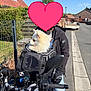 backpack, black_jacket, blue_sky, casual_clothing, dog, fence, gloves, handlebars, helmet, motorcycle, outdoor, person, phone_mount, residential_area, sidewalk, street, suburban, trees, vehicle, white_dog