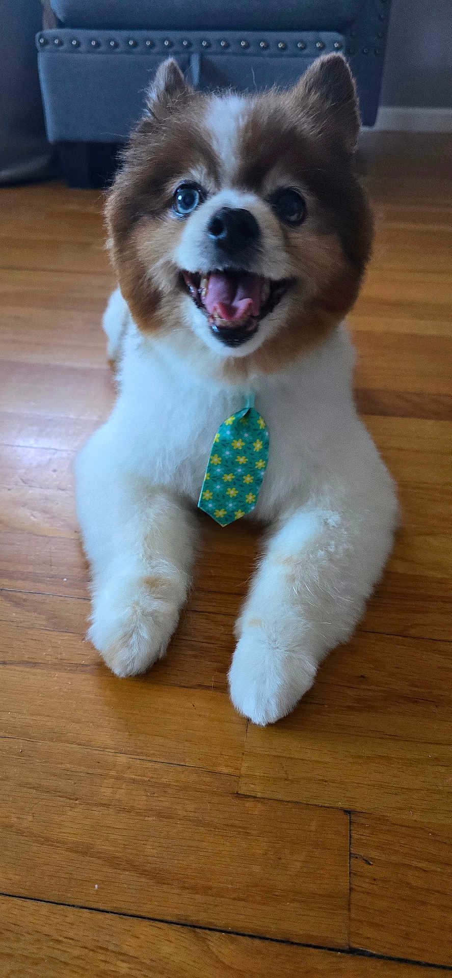 Kevin