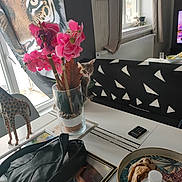 Mylène participe au concours pour gagner de l'argent avec cette photo : cat, flower, vase, couch, window, giraffe_figurine, table, bag, remote_control, curtain, photograph_frame, bottle, living_room, wall_art, indoor, decor, plant, natural_light, furniture, pattern