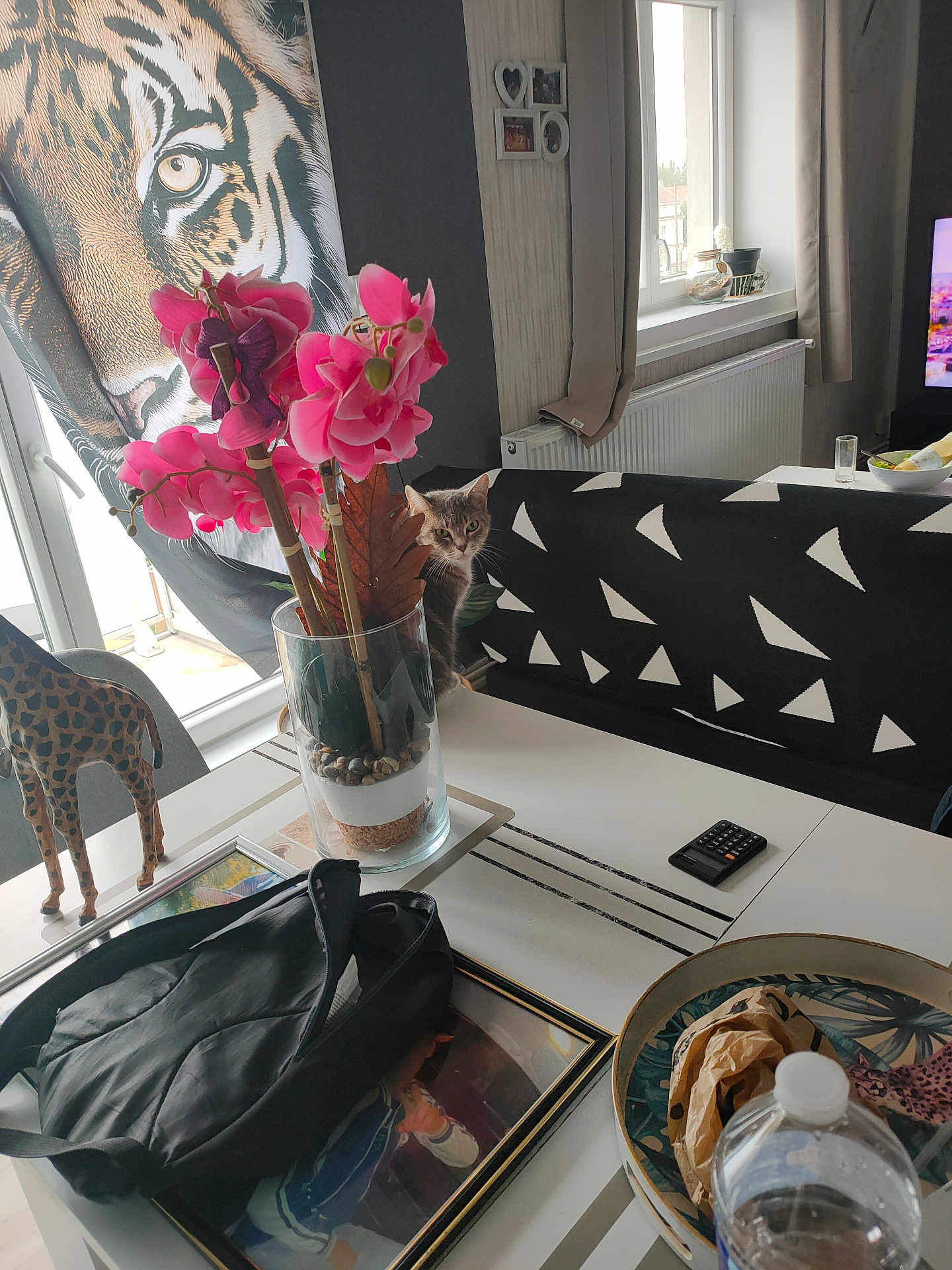 Mylène participe au concours pour gagner de l'argent avec cette photo : cat, flower, vase, couch, window, giraffe_figurine, table, bag, remote_control, curtain, photograph_frame, bottle, living_room, wall_art, indoor, decor, plant, natural_light, furniture, pattern
