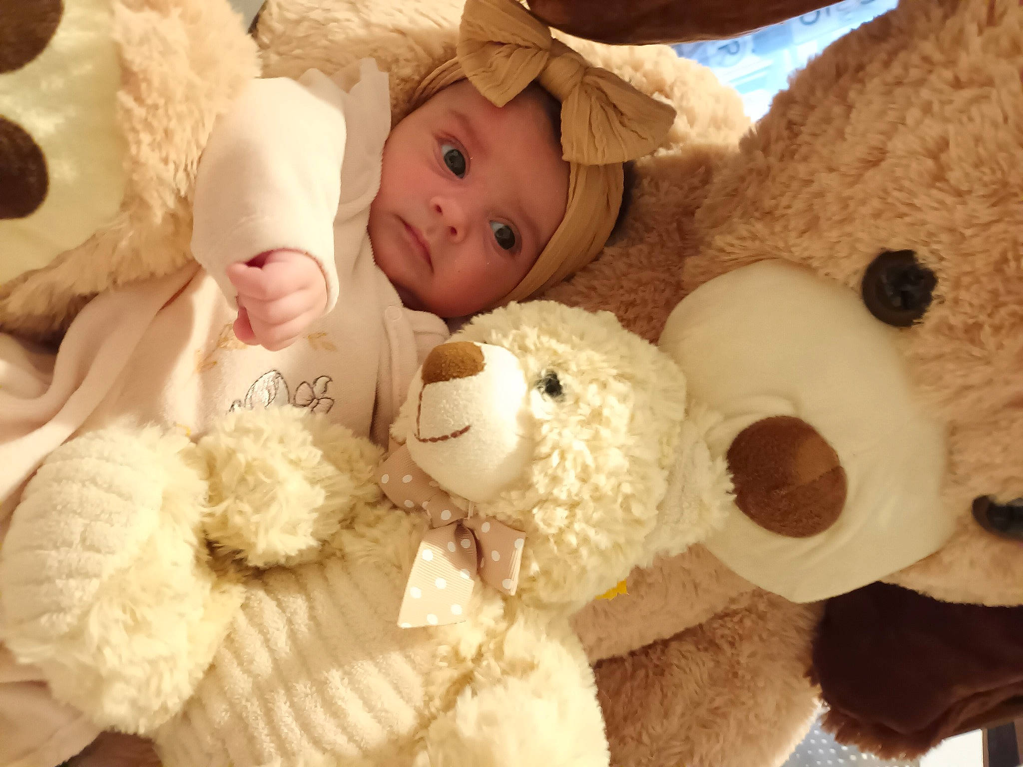 Jannah a rejoint le concours — aidez-le/la à gagner de superbes lots ! baby, baby_sleeping, cheek, child, comfort, fawn, fur, happy, headwear, mammal, nose, organ, person, pink, plush, skin, stuffed_toy, teddy_bear, textile, toy