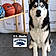 Koda