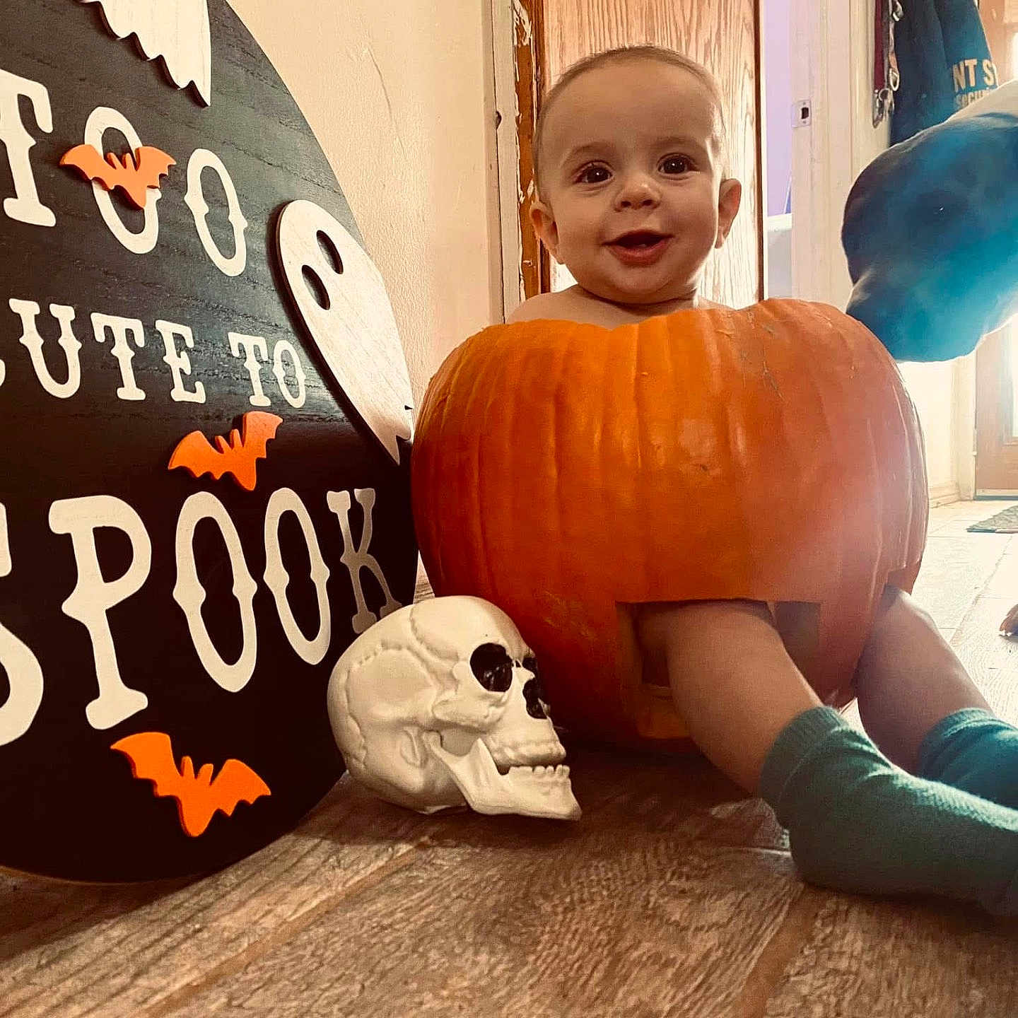 Waelynn joined the competition — help win amazing prizes! baby, bat, child, costume, curious, cute, dog, door, floor, halloween, holiday, holiday_decor, indoor, pet, pumpkin, sign, skull, smile, socks, wood_floor