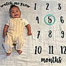 baby, beige_clothing, child, circle, cute, fabric, feet, growth, hands, happy, indoor, infant, lying_down, milestone_blanket, month_marker, numbers, overalls, portrait, smiling, text