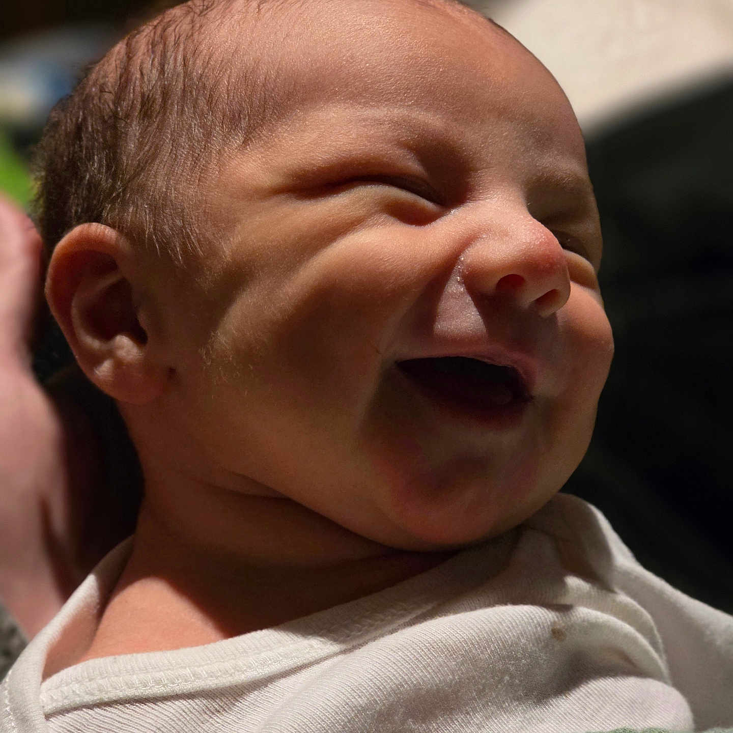 Ferris joined the competition — help win amazing prizes! baby, newborn, smiling, face, infant, cute, happy, portrait, child, clothing, blanket, skin, head, expression, indoors, closeup, person, newborn_baby, joy, soft_light