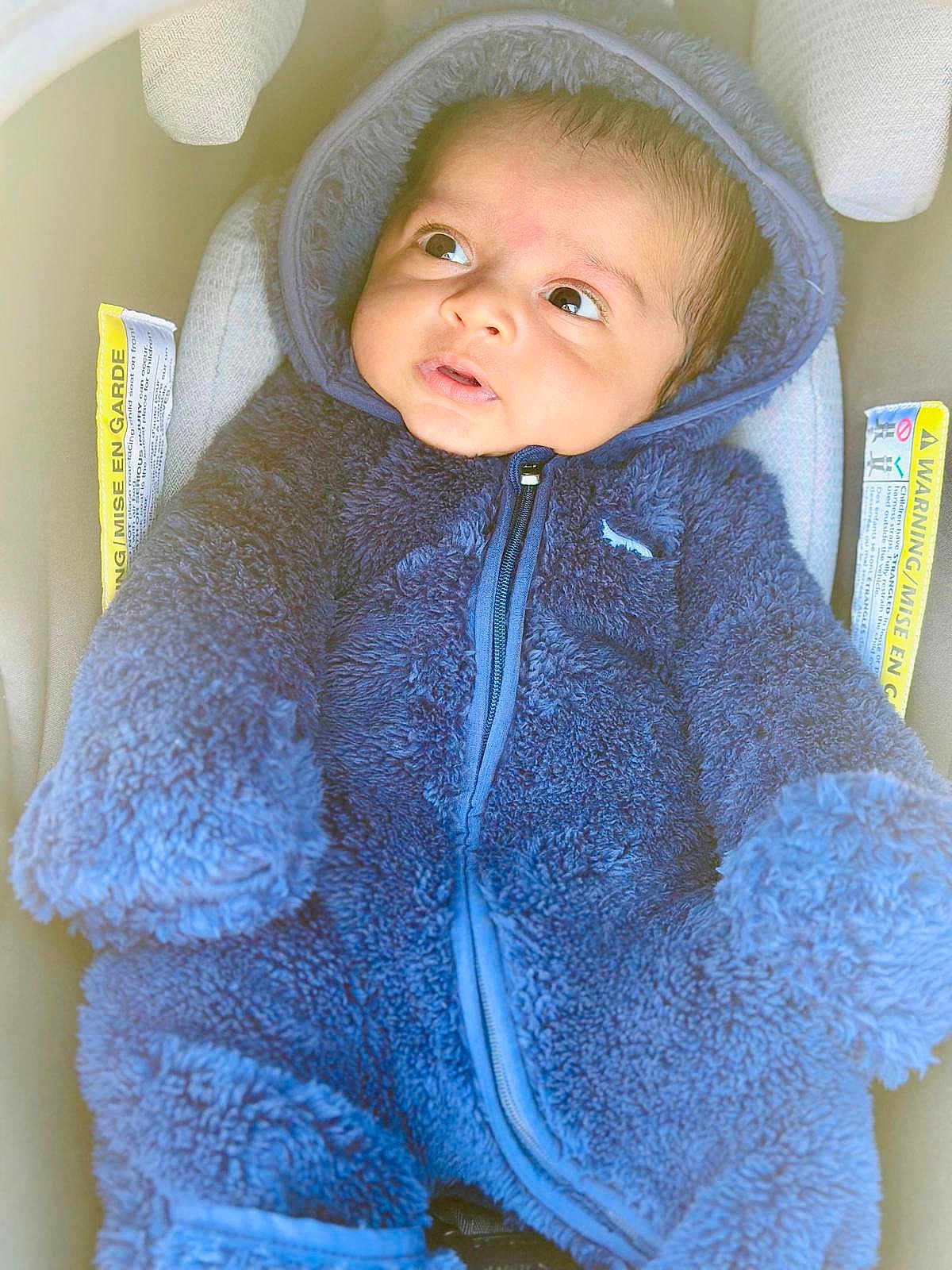 Samp is registered to the contest to win money with this photo: baby, child, infant, blue_outfit, hooded_jacket, car_seat, warning_label, curious, wide_eyes, cozy, cute, warm_clothing, indoor, portrait, soft_texture, young_child, looking_away, seated, clothing_zipper, adorable