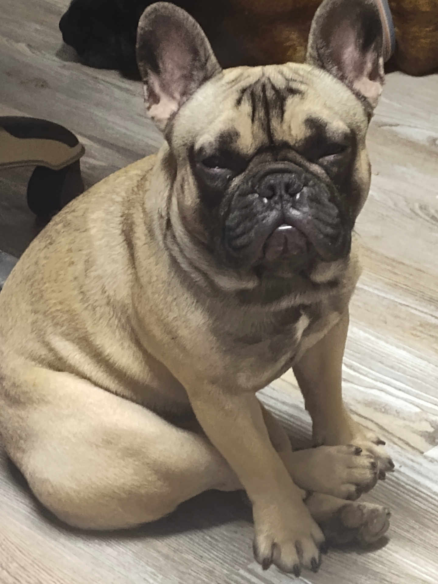 Frankie