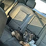Zeus is registered to the contest to win money with this photo: puppy, dog, car, backseat, interior, seat, window, sunlight, pet, animal, curious, young, fur, ears, tongue, black, brown, resting, plastic_bag, transportation