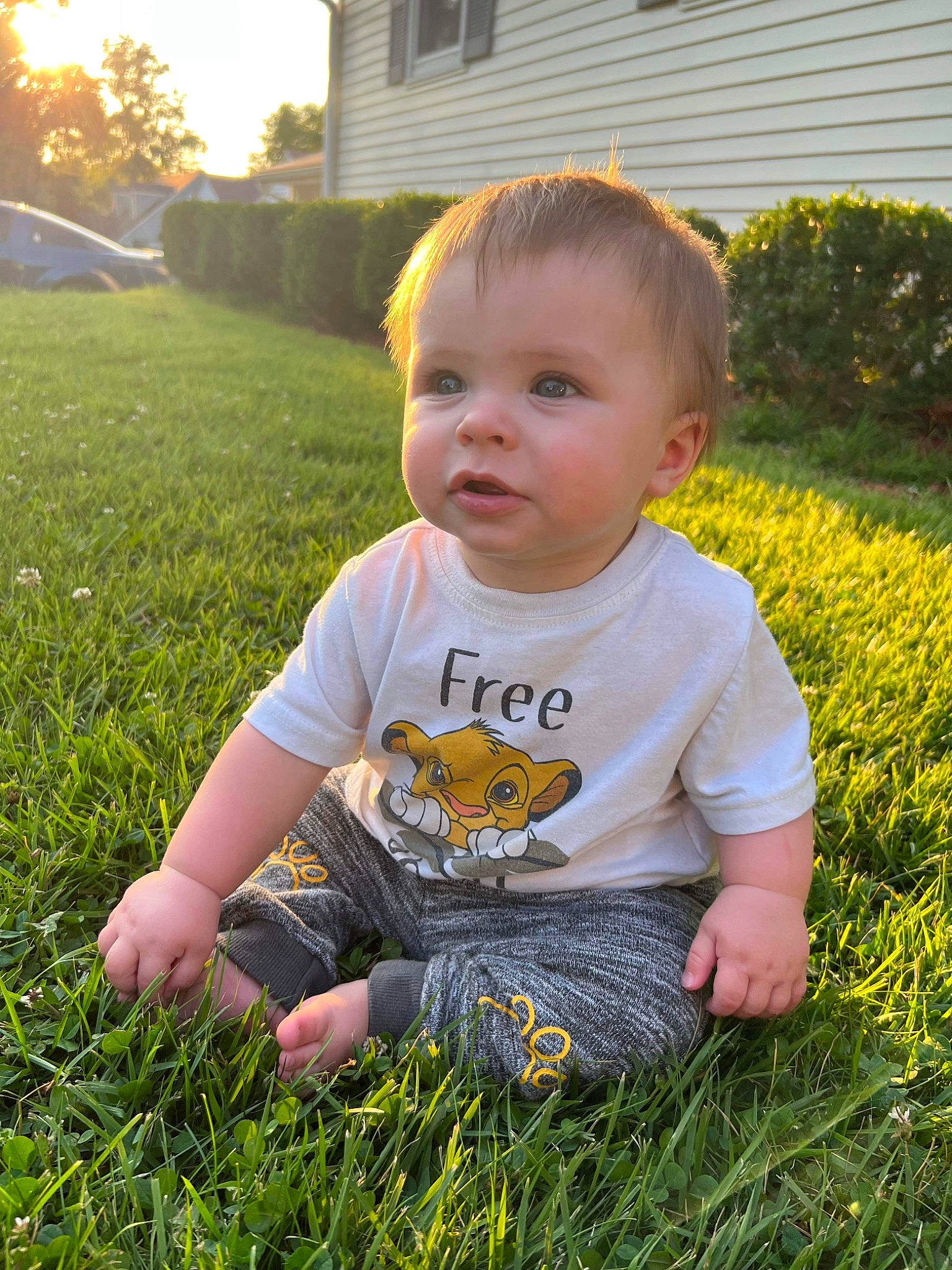 Elijah is registered to the contest to win money with this photo: baby, baby_toddler_clothing, child, facial_expression, fun, grass, grass_family, green, groundcover, happy, lawn, leaf, meadow, people_in_nature, person, plant, summer, t_shirt, toddler, window