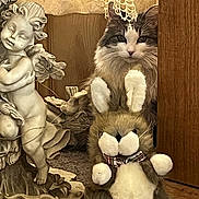 Baby joined the competition — help win amazing prizes! cat, plush_toy, bunny, stuffed_animal, door, statue, cherub, indoor, wood, fur, animal, decor, toy, curiosity, peek, face, ears, feline, cozy, whimsical
