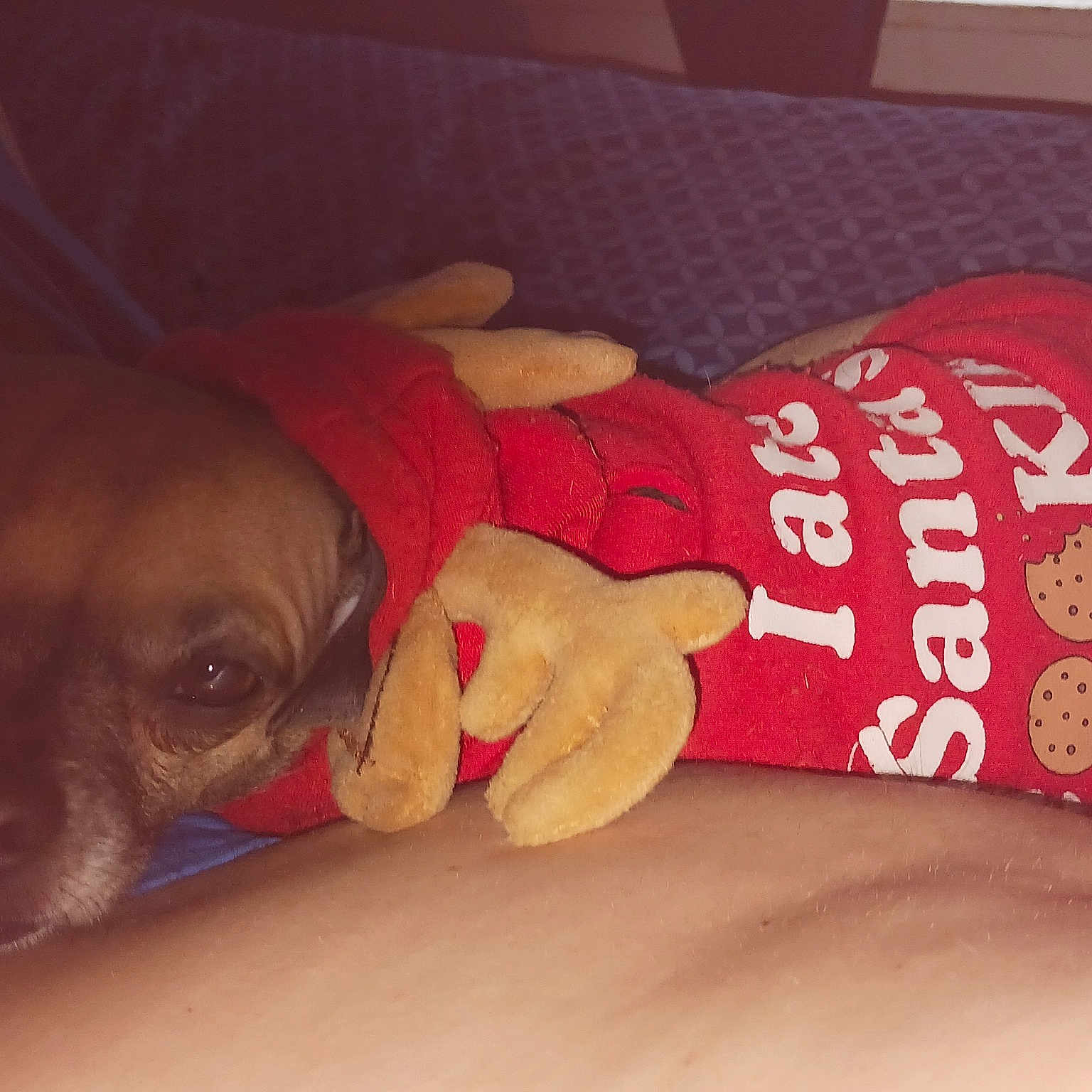 Peanut