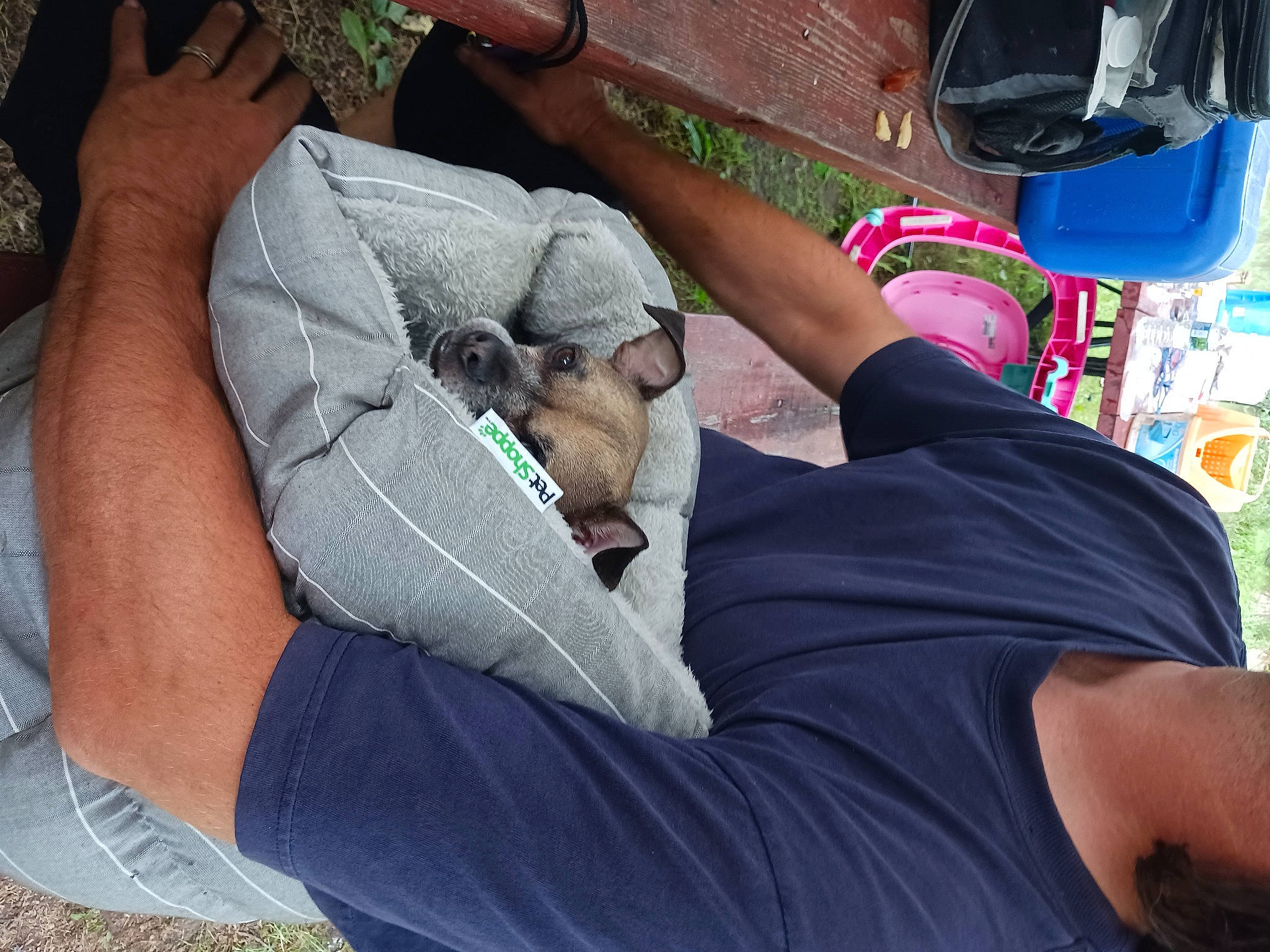 Peanut is registered to the contest to win money with this photo: comfort, elbow, event, eyewear, finger, foot, hand, hat, human_leg, joint, knee, lap, leg, leisure, nail, people, shoe, sneakers, thigh, wrist