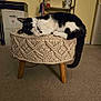 cat, tuxedo_cat, macrame_ottoman, stool, wooden_legs, carpet, indoor, cozy_home, sleeping_cat, relaxed, paw, tail, pet, shelf, panda_figurine, jar, wall_art, drawer, door, pet_furniture