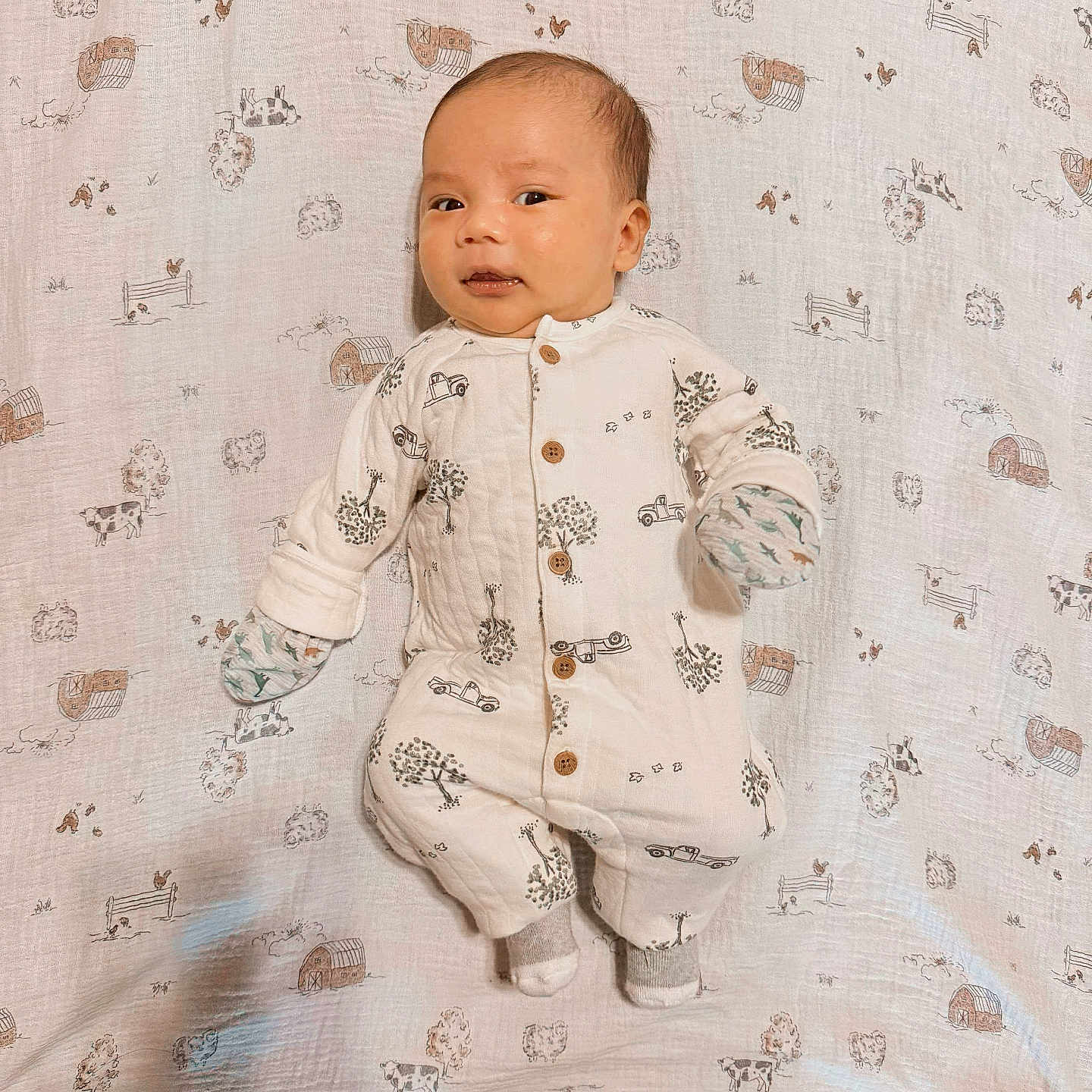 Kap is registered to the contest to win money with this photo: baby, baby_clothing, barn, blanket, car, child, cow, cute, farm, indoor, infant, lying_down, mittens, onesie, pattern, phone, portrait, socks, soft_lighting, tree