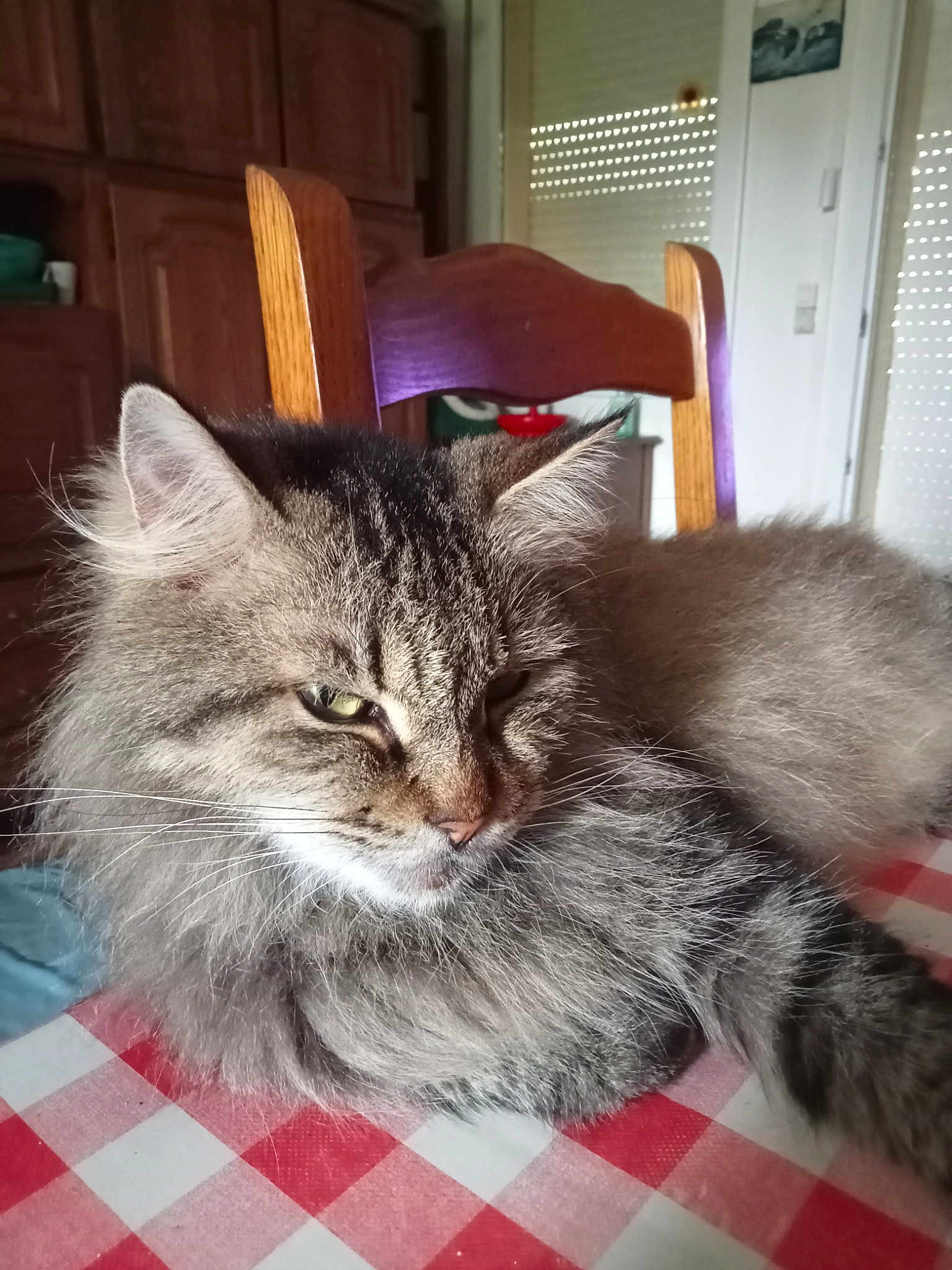 Pompom