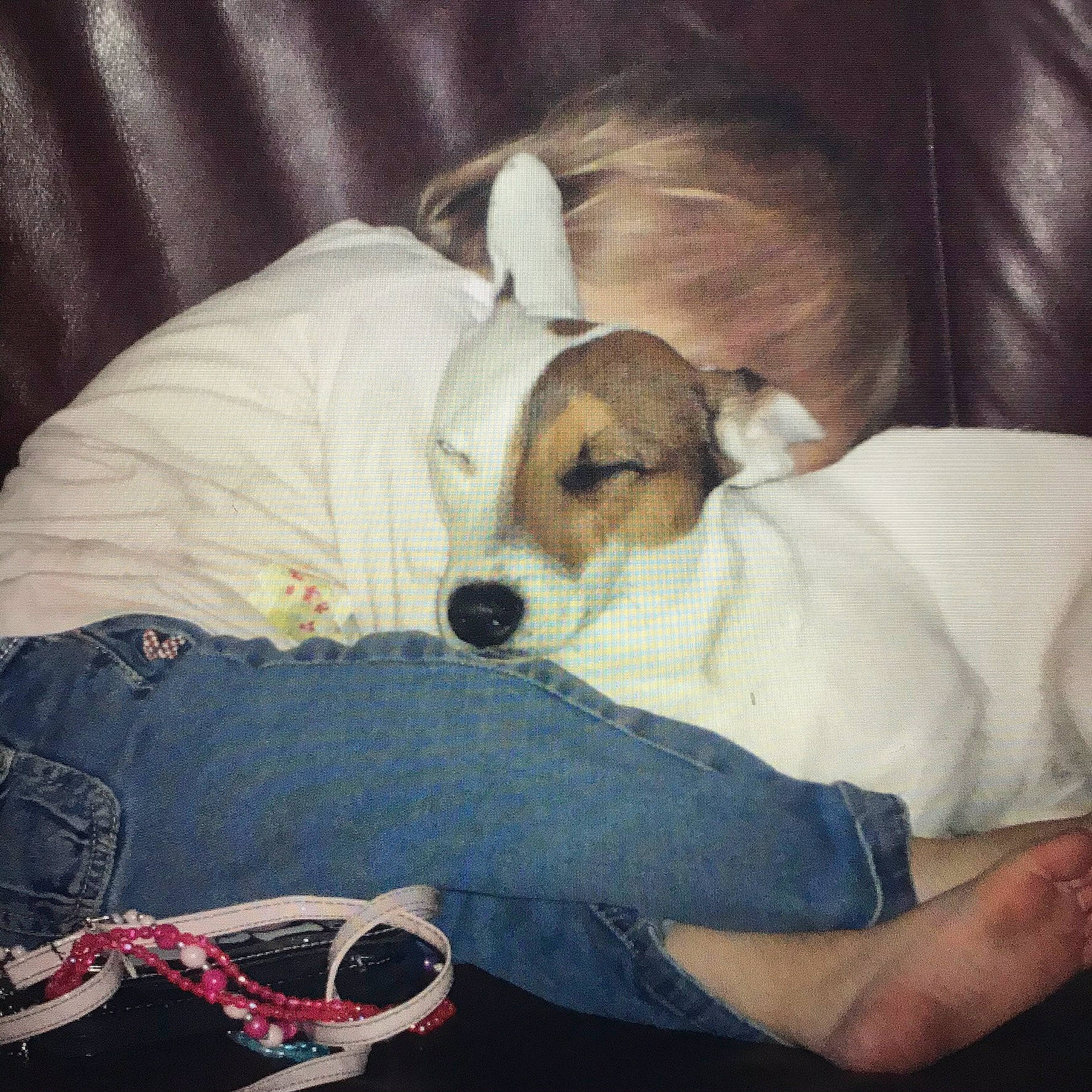 Daisy participe au concours pour gagner de l'argent avec cette photo : bedtime, canidae, carnivore, comfort, companion_dog, couch, dog, dog_breed, dog_supply, fur, human_leg, lap, linens, nap, non_sporting_group, puppy_love, sporting_group, toy_dog, watch, working_animal