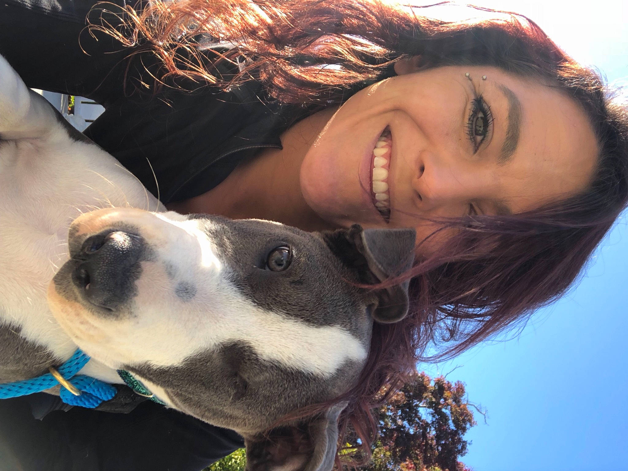 Luna is registered to the contest to win money with this photo: carnivore, companion_dog, cool, dog, eye, eyelash, facial_expression, fawn, flash_photography, fun, happy, head, iris, jaw, mouth, nose, organ, people_in_nature, smile, working_animal