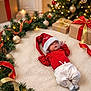 Cedrick is registered to the contest to win money with this photo: baby, blanket, celebration, christmas, cozy, cute, decorations, festive, gift_boxes, holiday, holiday_decor, indoor, lights, ornaments, pine_garland, red_clothing, ribbon, santa_hat, sleeping, white_pants