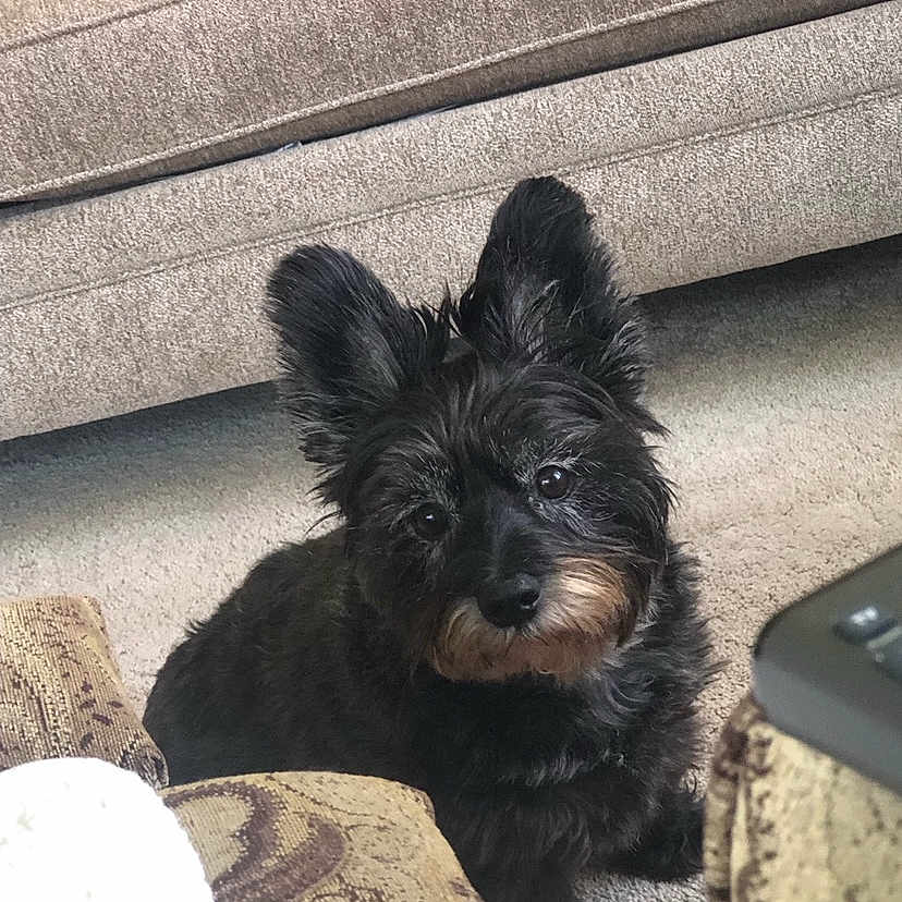 Stanley