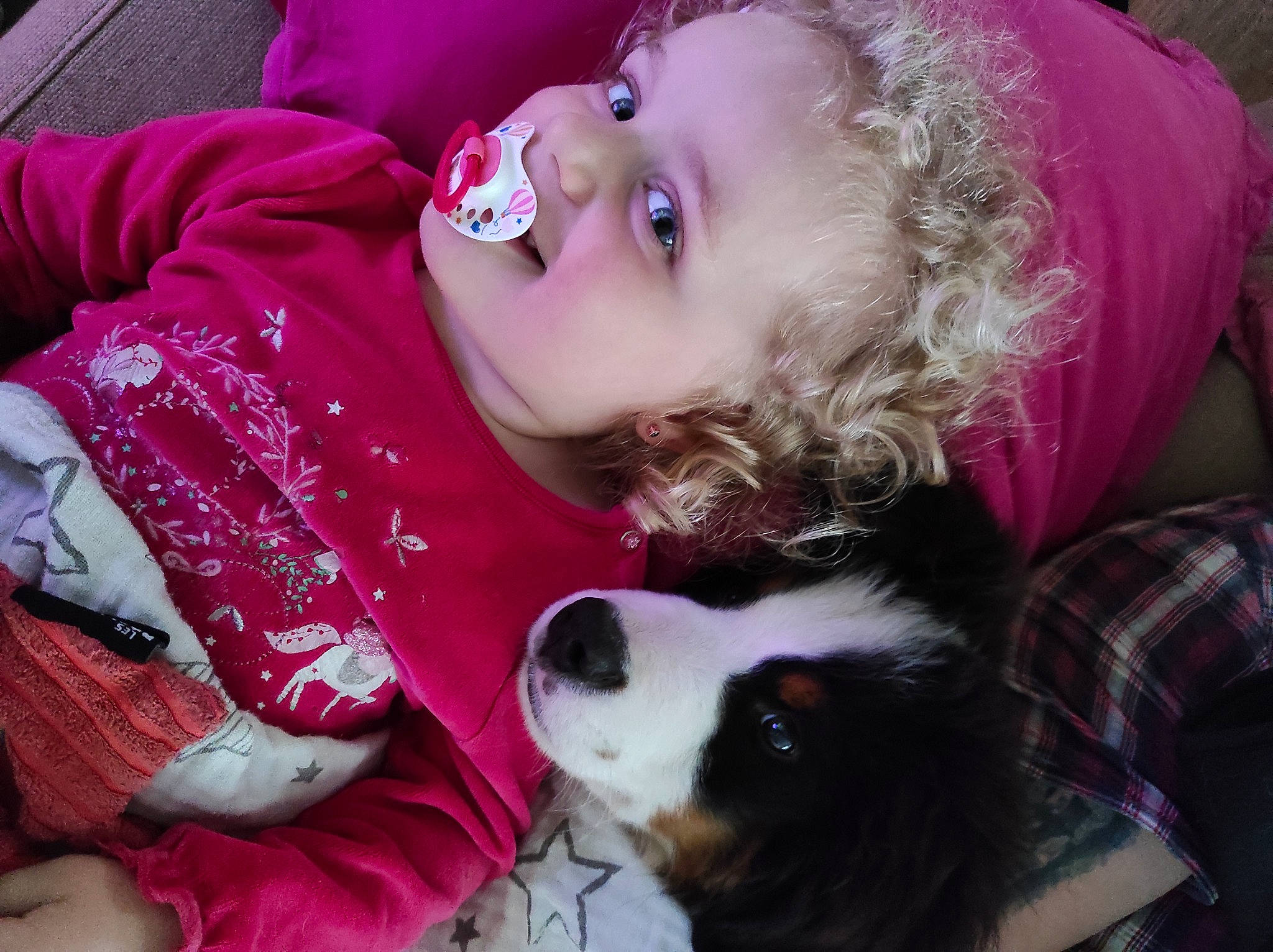 Flocky a rejoint le concours — aidez-le/la à gagner de superbes lots ! baby, baby_toddler_clothing, carnivore, cheek, child, companion_dog, dog, dog_breed, fur, happy, lap, magenta, organ, pattern, photograph, pink, plaid, tartan, toddler, tree