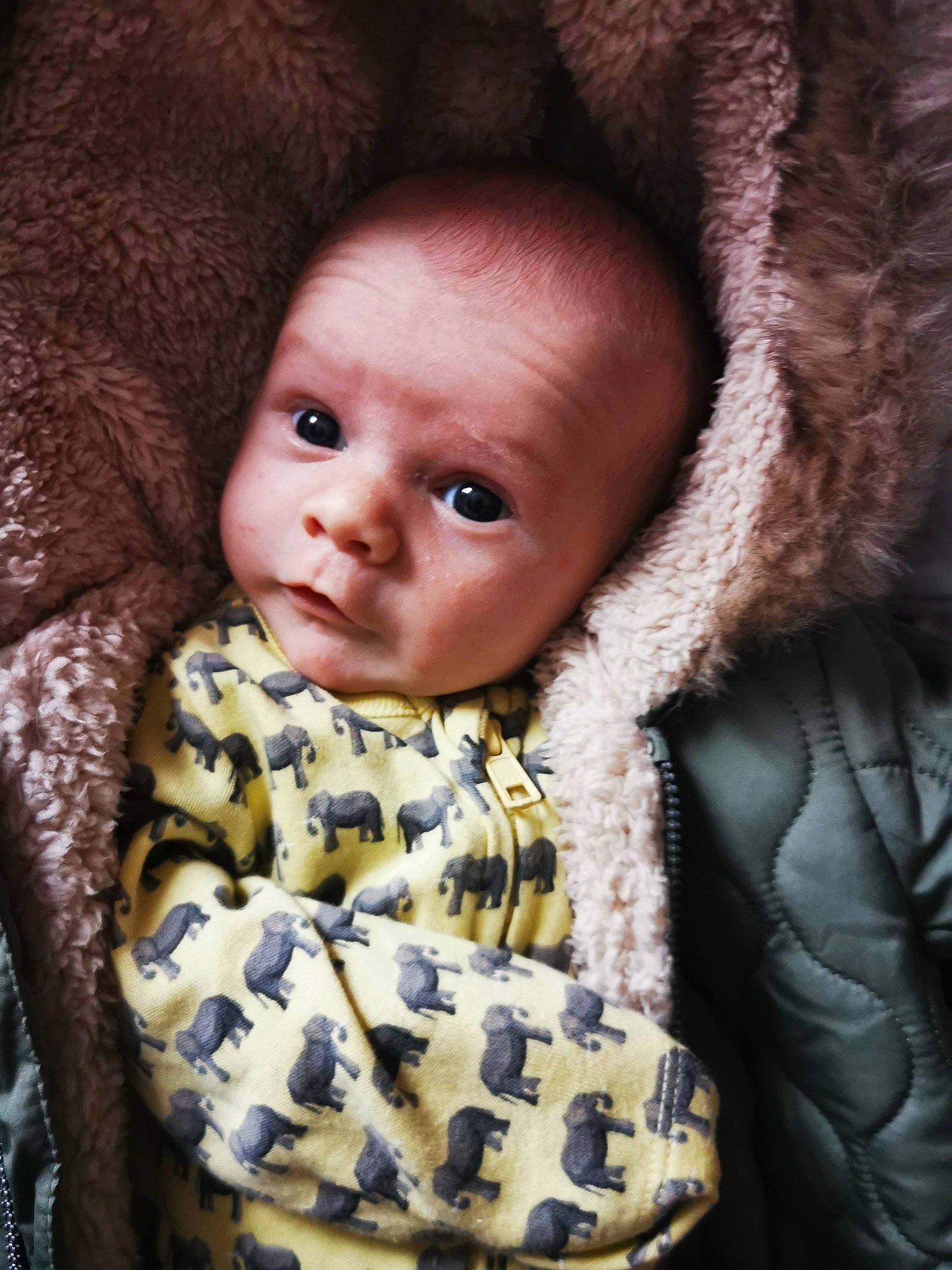 Alfie joined the competition — help win amazing prizes! baby, beauty, cap, cheek, child, chin, comfort, eye, eyebrow, fur, iris, lip, mouth, nose, outerwear, person, skin, sleeve, textile, toddler